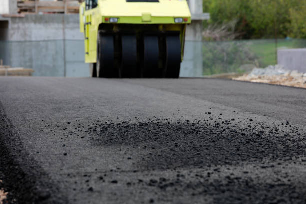 Best Driveway Repair Near Me  in Hodgkins, IL