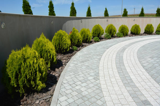 Best Driveway Pavers Contractor  in Hodgkins, IL
